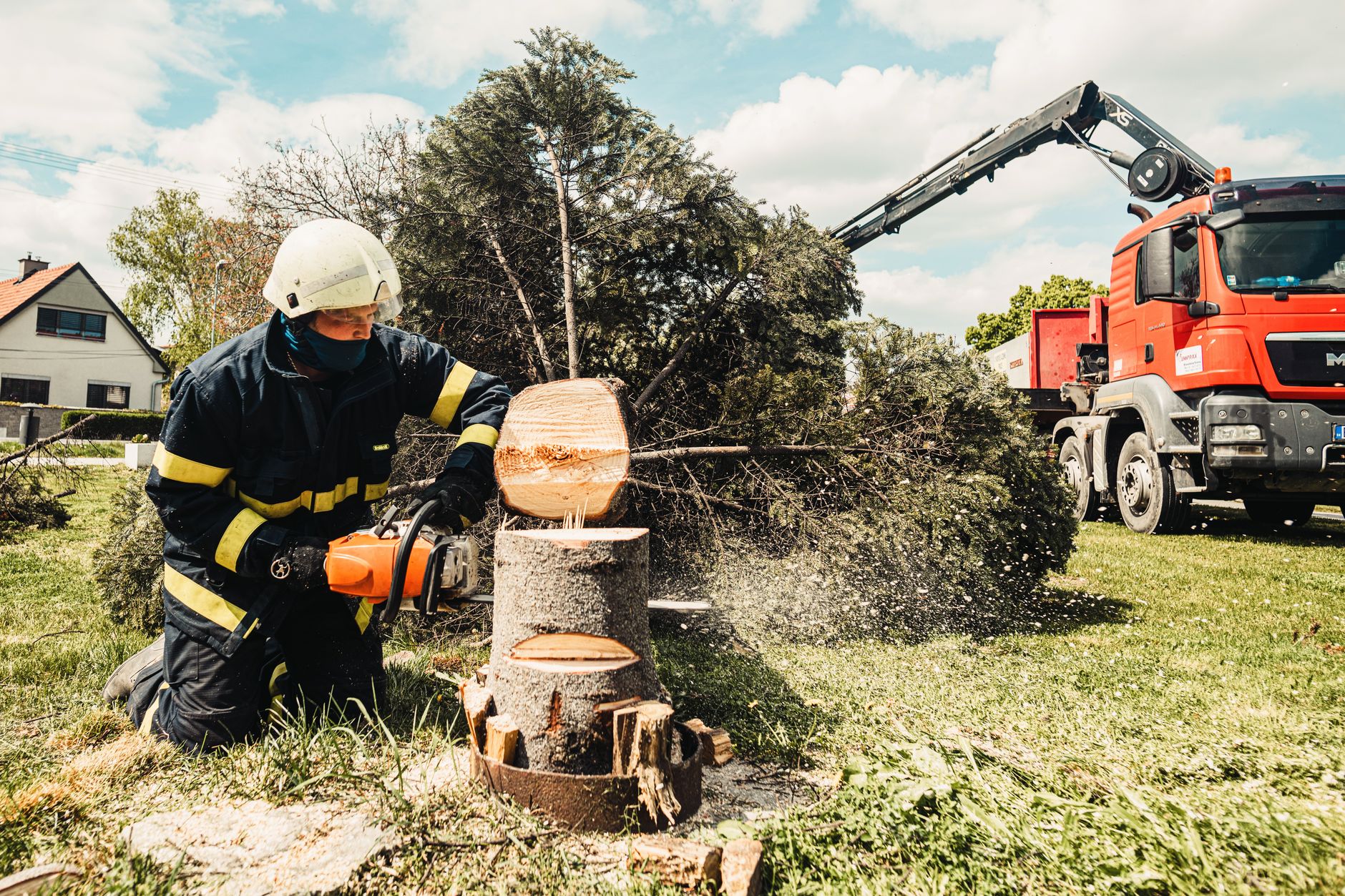 Stump Removal