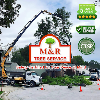 Rooted in Hard Work, Trusted in Sea Isle