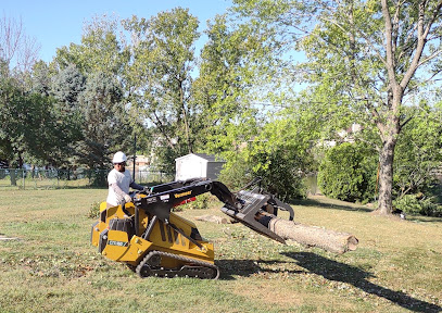 Tree Removal