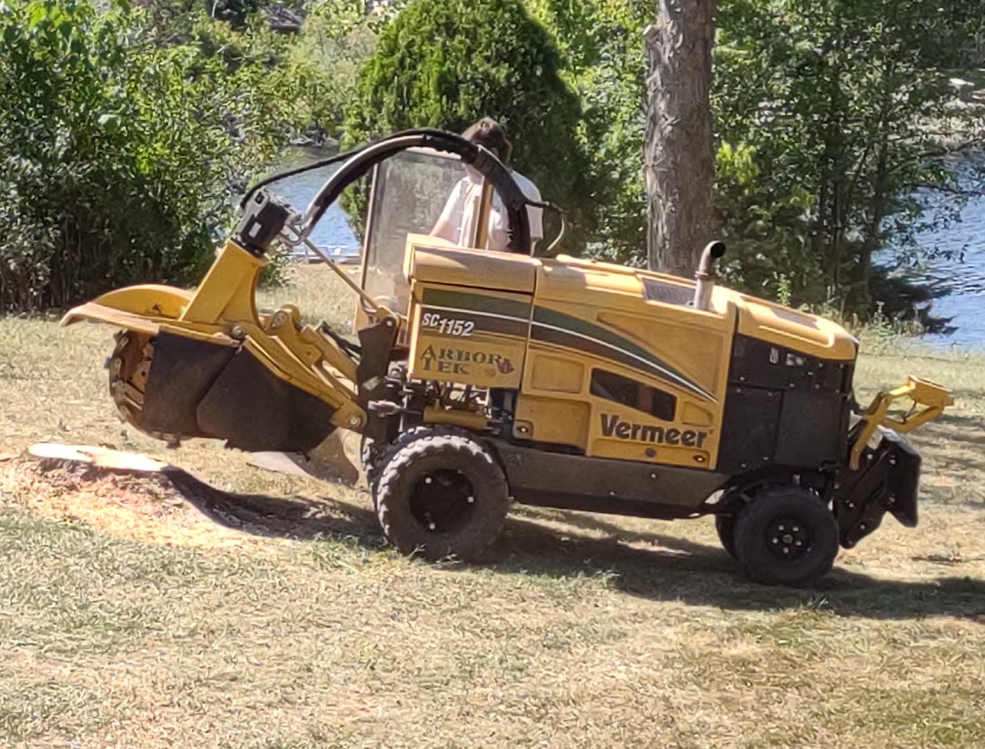 Stump ground flush to grade